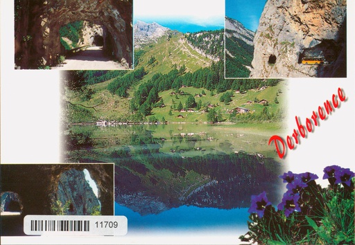 [6311709] Postcards 11709 Derborence