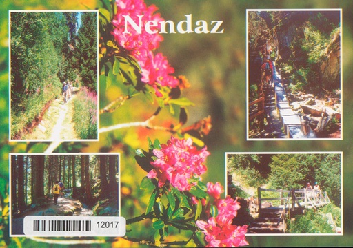 [6312017] Postcards 12017 Nendaz, bisse Vieux