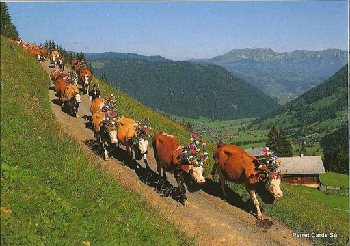 [1013444] Postcards 13444 Descente de l'alpage