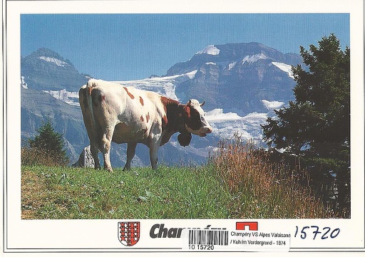 [1015720] Postcards 15720 Champéry