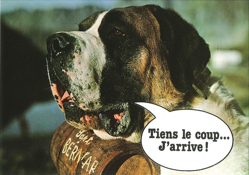 [101404] Postcards 16683 St-Bernard 'Tiens le coup... J'arrive'