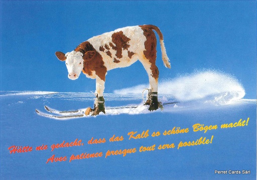 [1020647] Postcards 20647 w vache à ski 