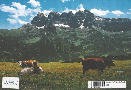 [1020996] Postcards 20996 Morgins