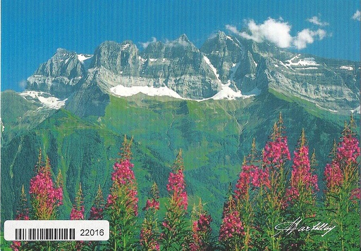 [6122016] Postcards 22016 Les Dents du Midi, Val d'Illiez