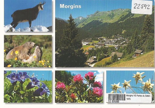 [1022592] Postcards 22592 Morgins