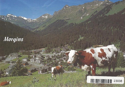 [6123038] Postcards 23038 Morgins