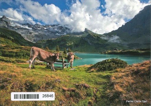 [1026846] Postcards 26846 Vaches à l'alpage