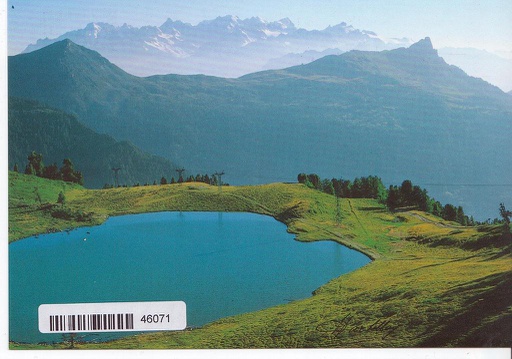 [6146071] Postcards 46071 Nendaz