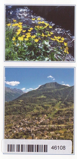 [6146108] Postcards 46108 Nendaz