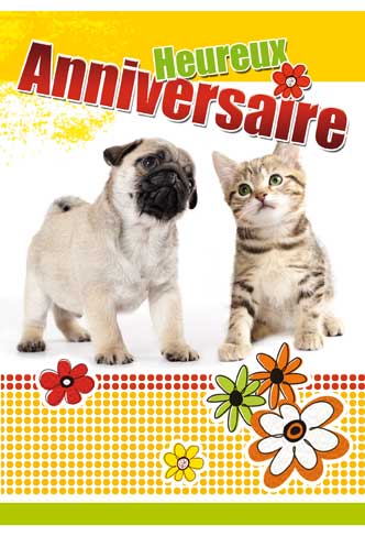 [A4-HA 515450-5] Carte A4 Anniversaire