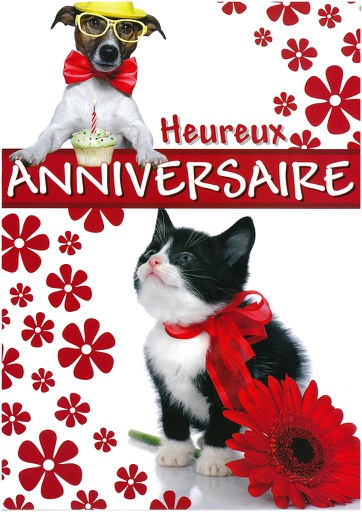 [A4-HA 514498-6] Carte A4 Anniversaire