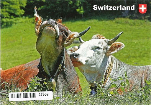 [1027369] Postcards 27369 Kühe &quot;Switzerland&quot;