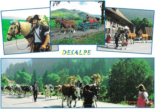 [6300254] Postcards 00254 Désalpe, tradition fribourgeoise