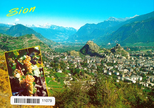 [6311079] Postcards 11079 Sion