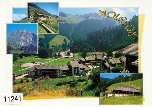 [6311241] Postcards 11241 Moléson