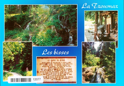 [6312077] Postcards 12077 La Tzoumaz, les bisses