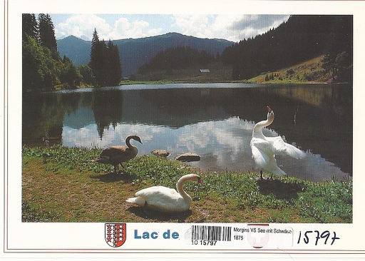 [1015797] Postcards 15797 Morgins, lac