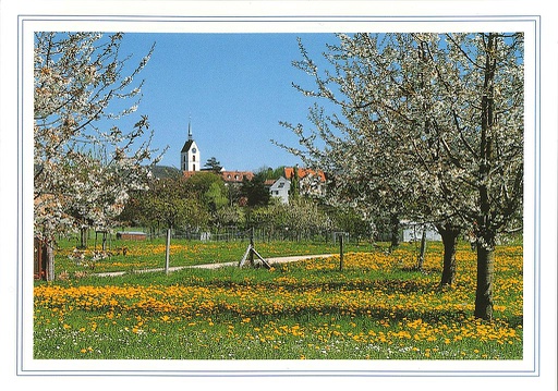 [1018496] Postcards 18496 Riehen