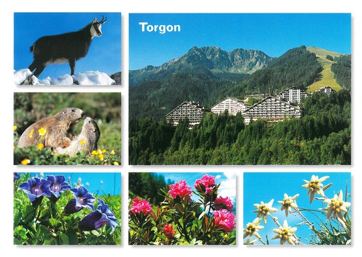 [1022595] Postcards 22595 Torgon, Portes du Soleil