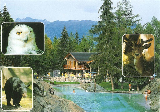 [6128029] Postcards 28029 Piscine et zoo des Marécottes