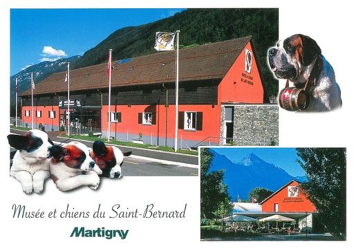 [6130109] Postcards 30109 Martigny, musée et chiens du St-Bernard