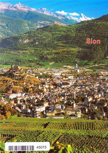 [6145075] Postcards 45075 Sion