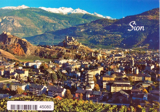 [6145080] Postcards 45080 Sion