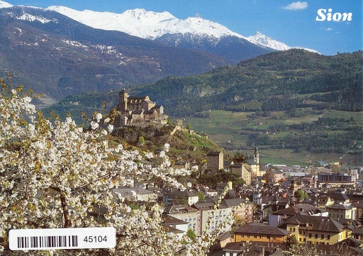 [6145104] Postcards 45104 Sion