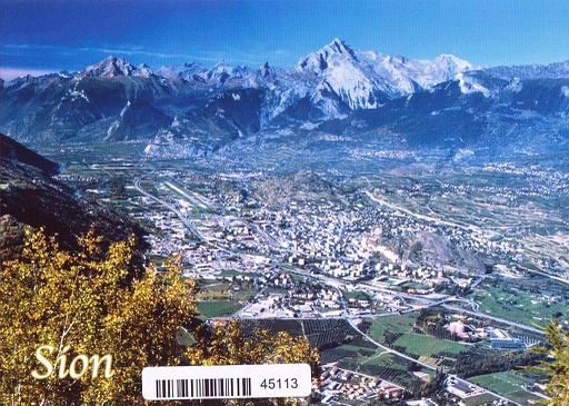 [6145113] Postcards 45113 Sion