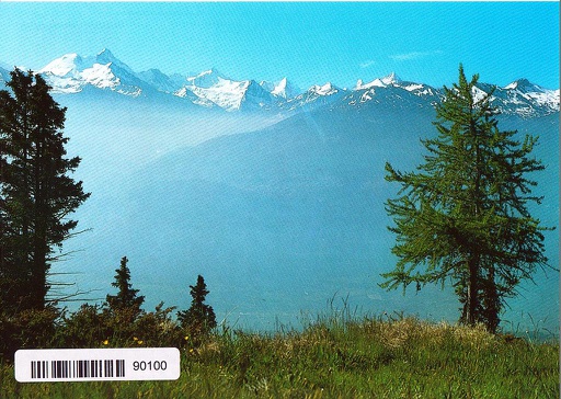 [6190100] Postcards 90100 Valais Wallis