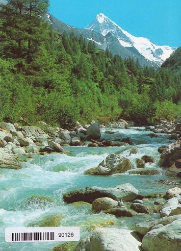 [6190126] Postcards 90126 Valais Wallis