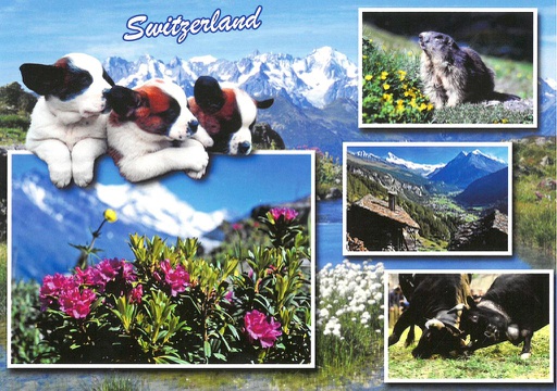 [6190169] Postcards 90169 Switzerland