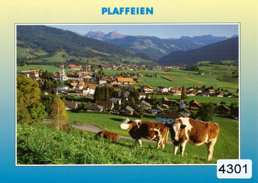 [6304301] Postcards 04301 Plaffeien (Planfayon)