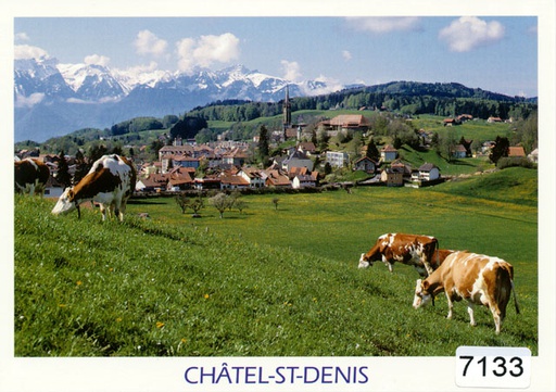 [6307133] Postcards 07133 Châtel-St-Denis