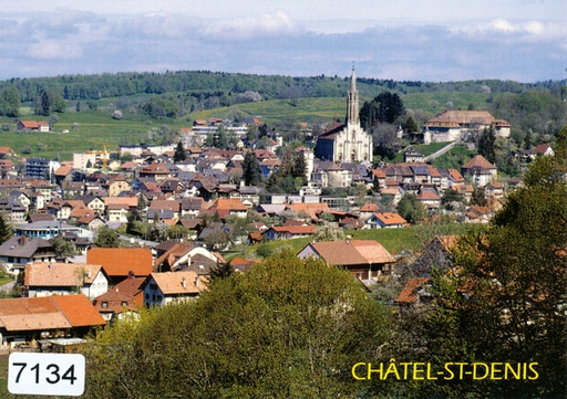 [6307134] Postcards 07134 Châtel-St-Denis