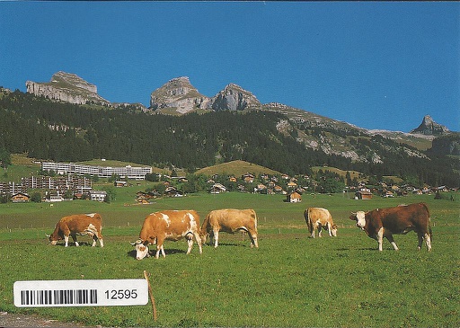 [1012595] Postcards 12595 Leysin-Tour d'Aï et Mayen