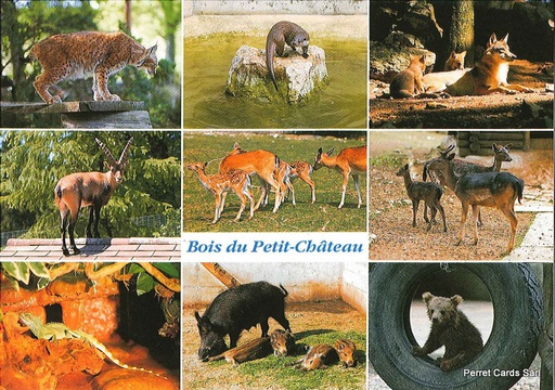 [22475] Postcards 22475 La Chaux-de-Fonds, Bois du Petit-Château