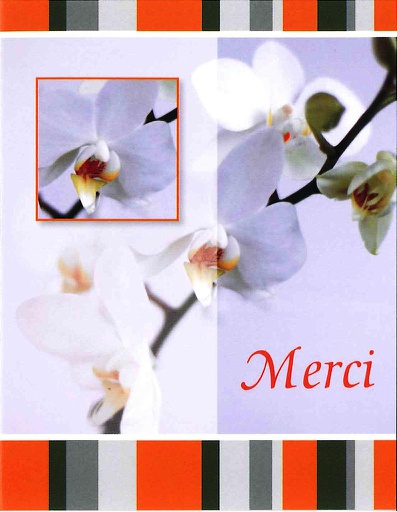 [MN-MC MD-60193] Mini Merci