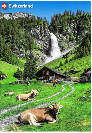 [1029585] Postcards 29537 Switzerland (copy)