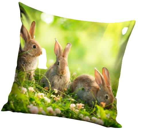 [ZE CBX544352] Coussin vert lapins