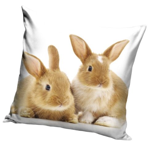 [ZE CBX544505] Coussin lapins