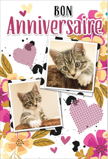 [HA 523240B] Carte Anniversaire (copy)