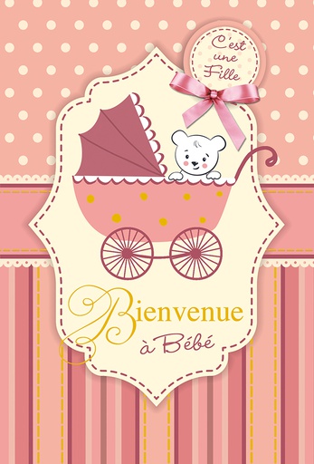 [NAi2Nf] Mélange de 5 cartes à 4.90 Naissance fille